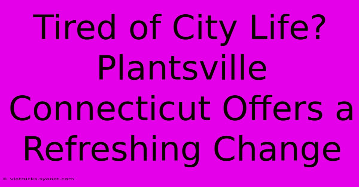 Tired Of City Life? Plantsville Connecticut Offers A Refreshing Change