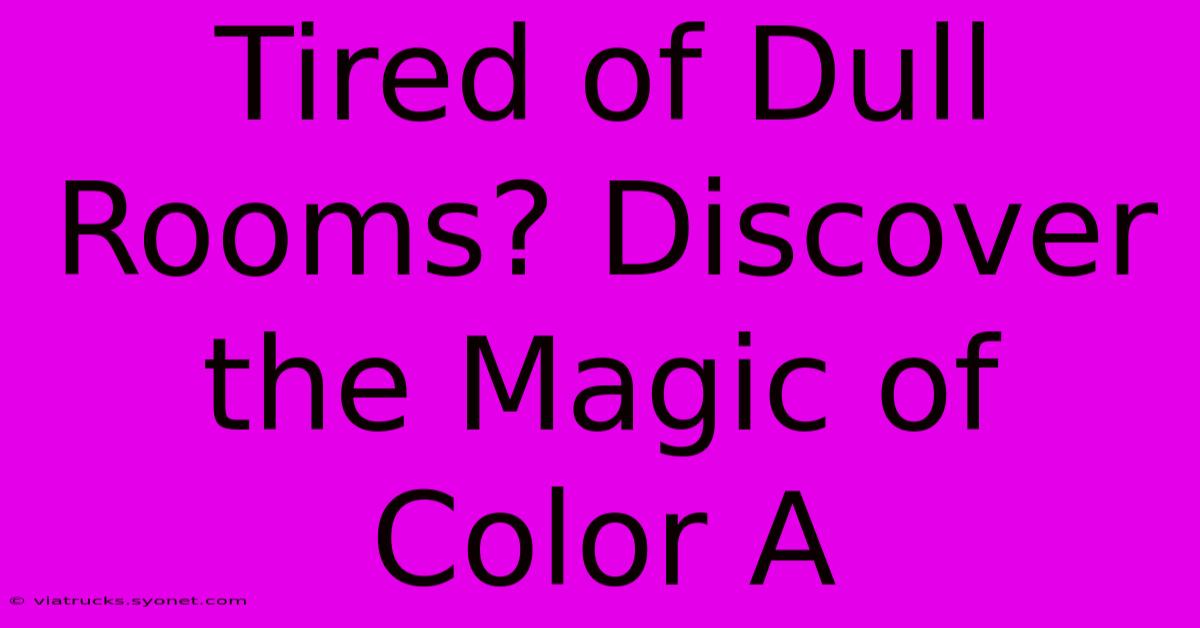 Tired Of Dull Rooms? Discover The Magic Of Color A