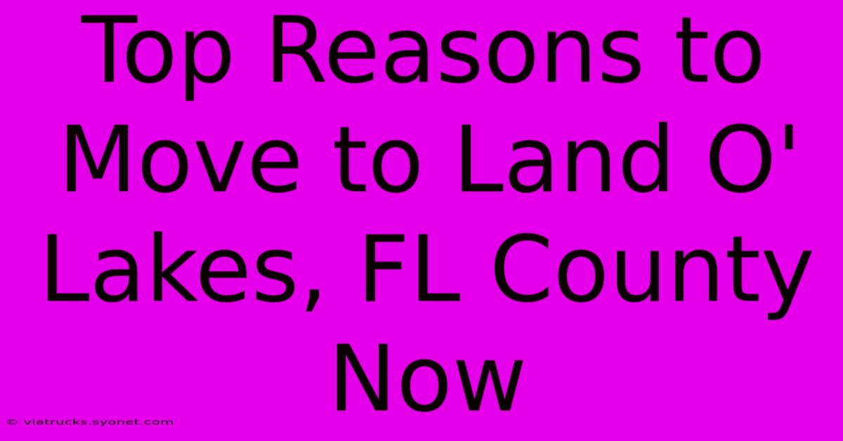 Top Reasons To Move To Land O' Lakes, FL County Now