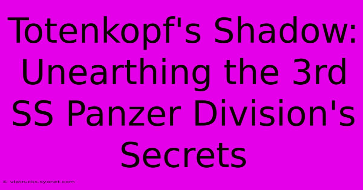 Totenkopf's Shadow: Unearthing The 3rd SS Panzer Division's Secrets