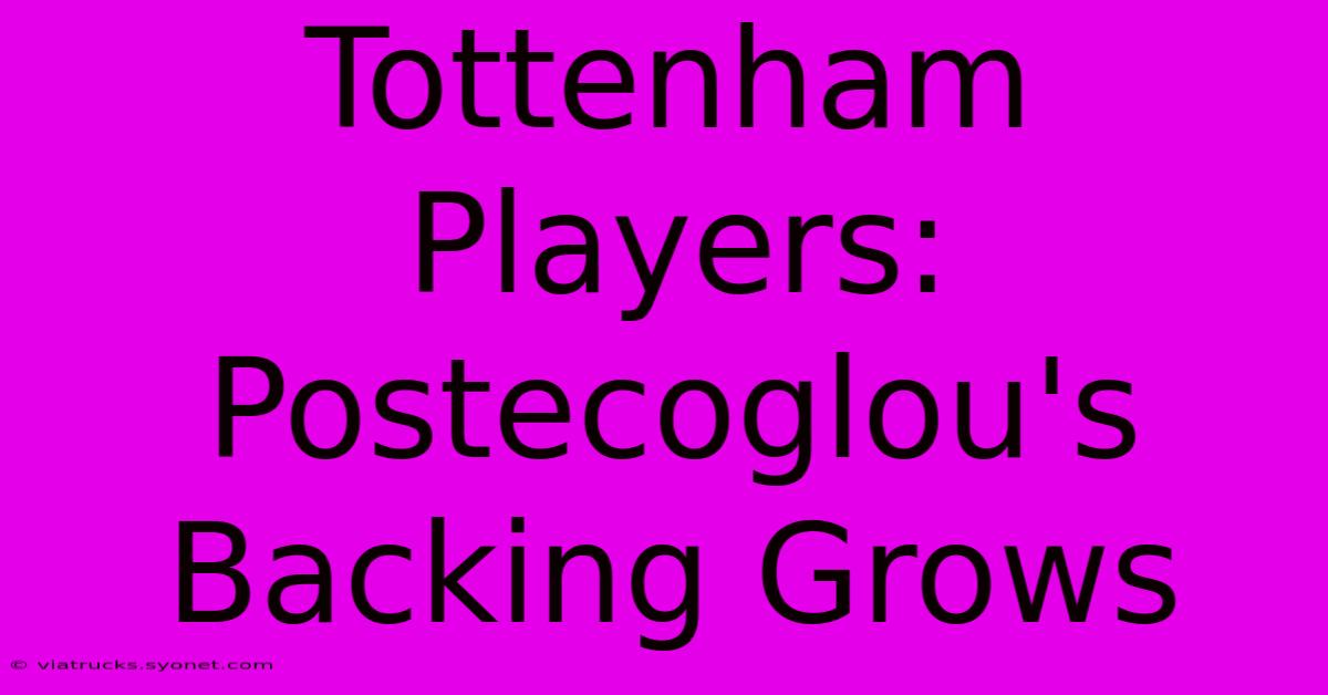 Tottenham Players: Postecoglou's Backing Grows