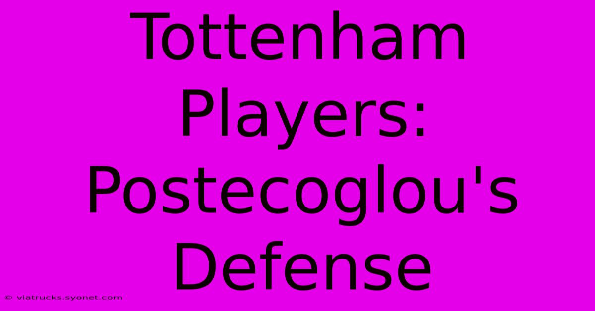 Tottenham Players: Postecoglou's Defense