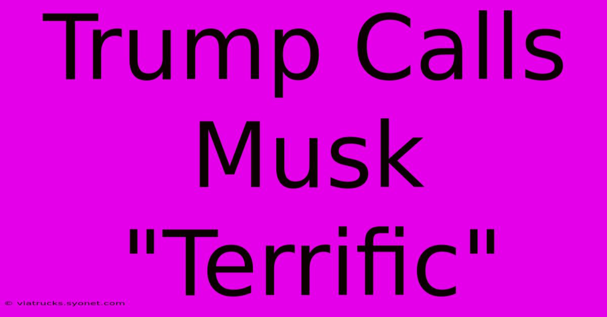 Trump Calls Musk 