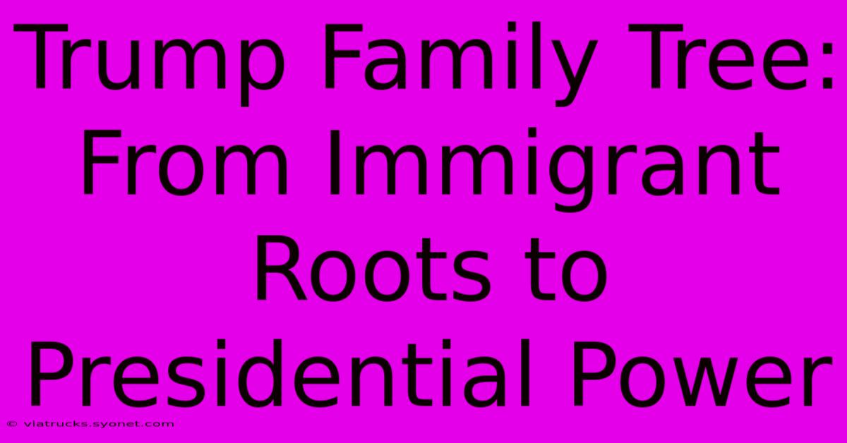 Trump Family Tree: From Immigrant Roots To Presidential Power