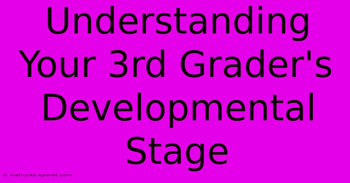 Understanding Your 3rd Grader's Developmental Stage