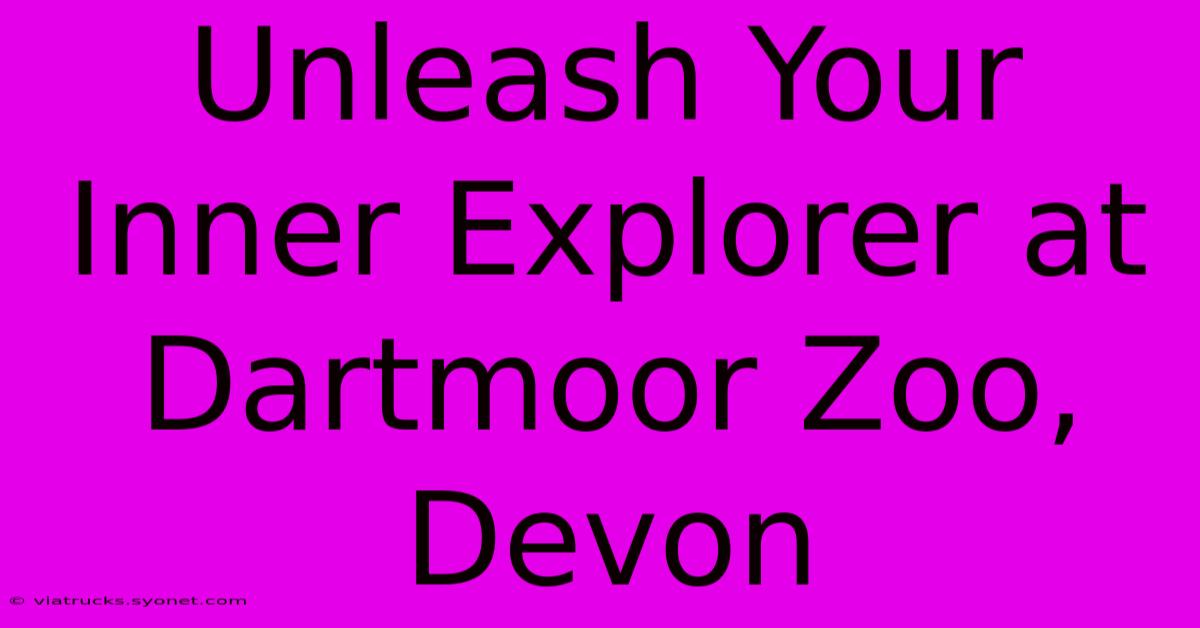 Unleash Your Inner Explorer At Dartmoor Zoo, Devon