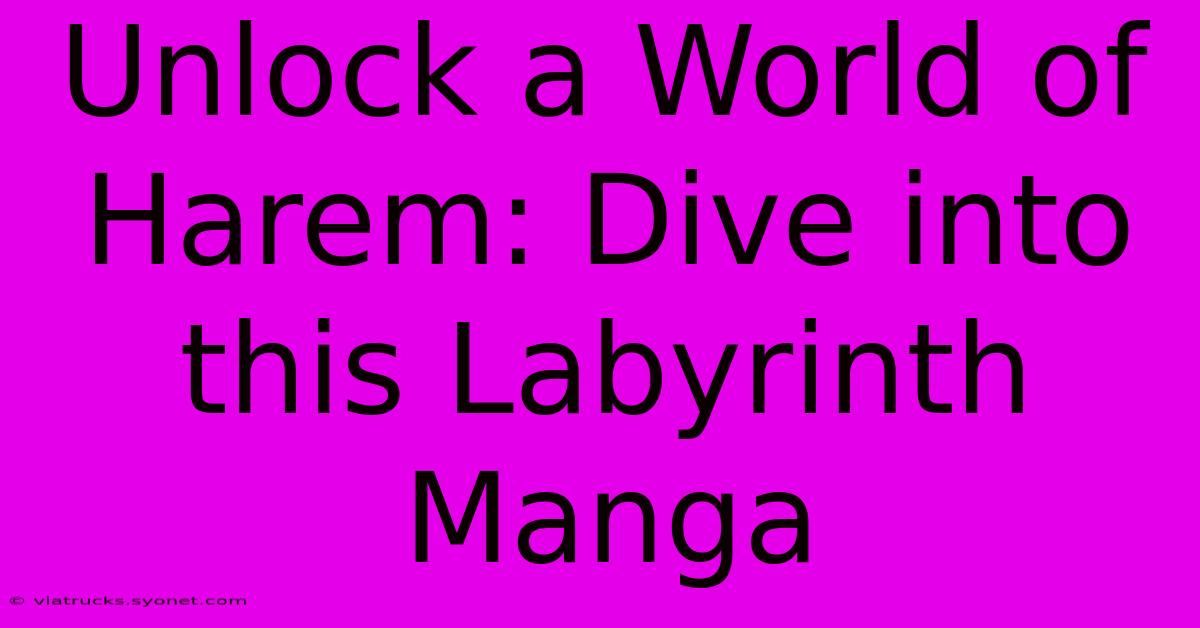 Unlock A World Of Harem: Dive Into This Labyrinth Manga