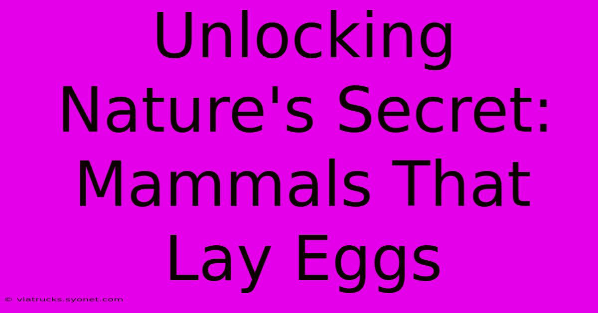 Unlocking Nature's Secret: Mammals That Lay Eggs