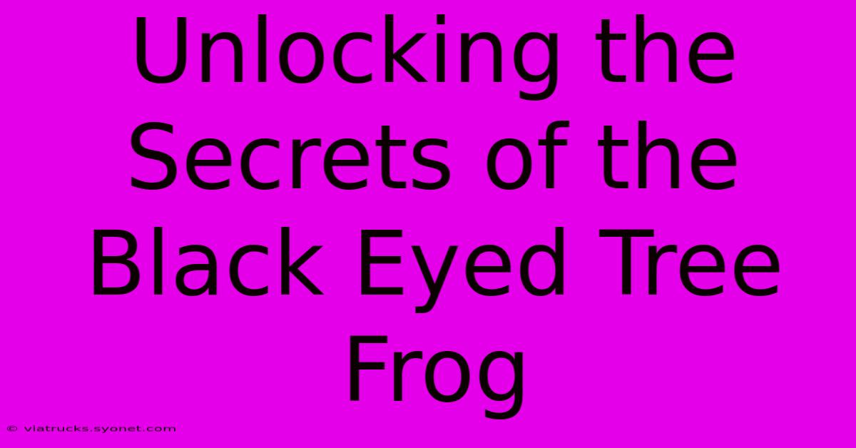 Unlocking The Secrets Of The Black Eyed Tree Frog