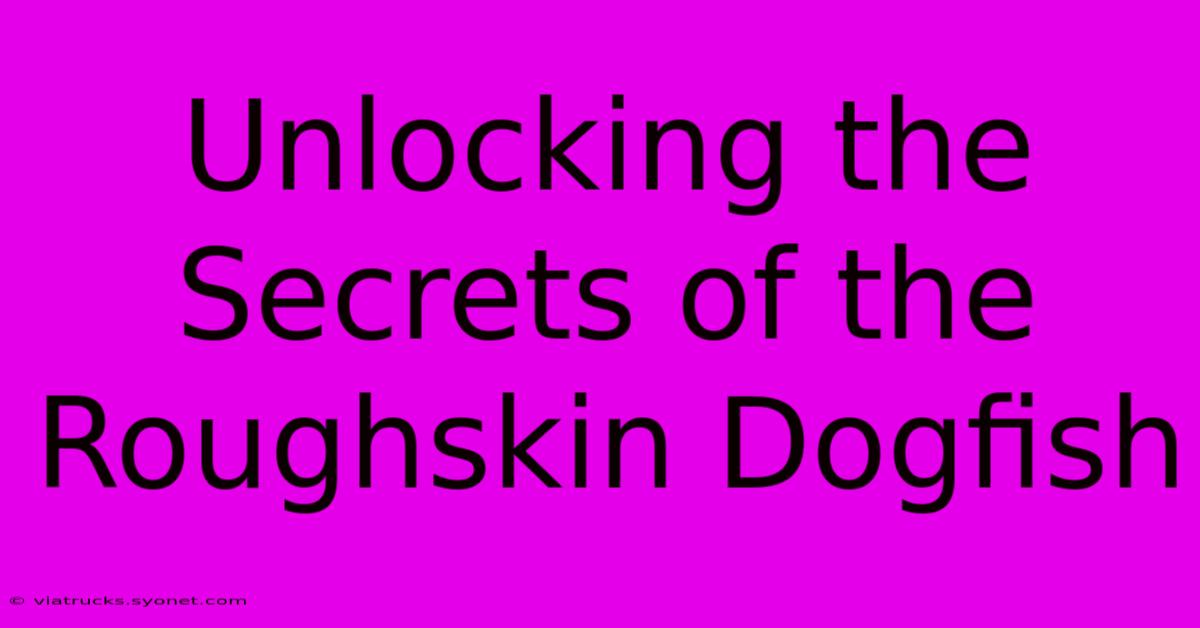 Unlocking The Secrets Of The Roughskin Dogfish