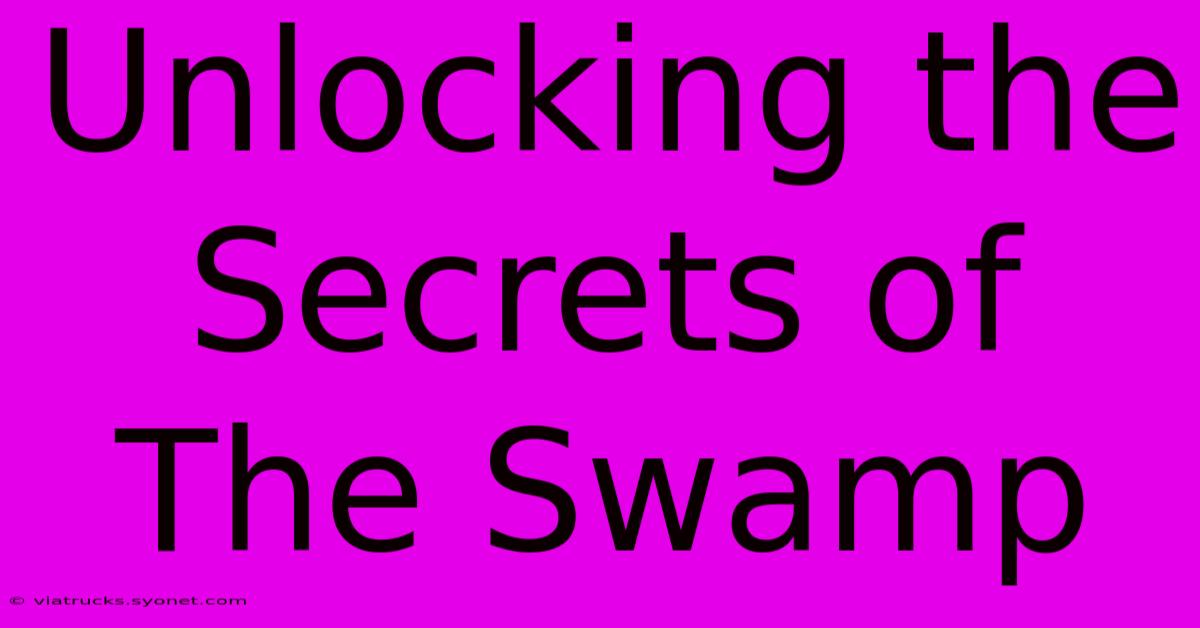 Unlocking The Secrets Of The Swamp