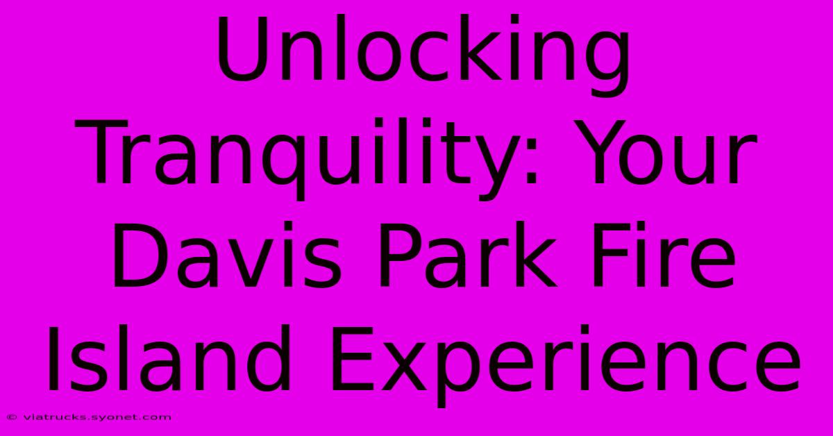 Unlocking Tranquility: Your Davis Park Fire Island Experience