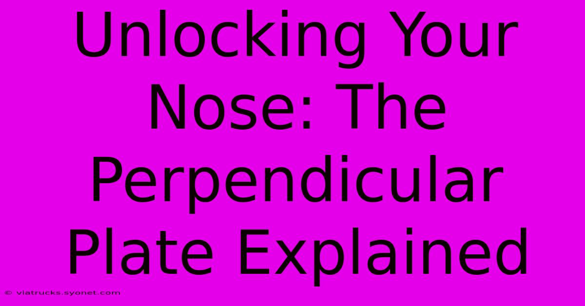 Unlocking Your Nose: The Perpendicular Plate Explained