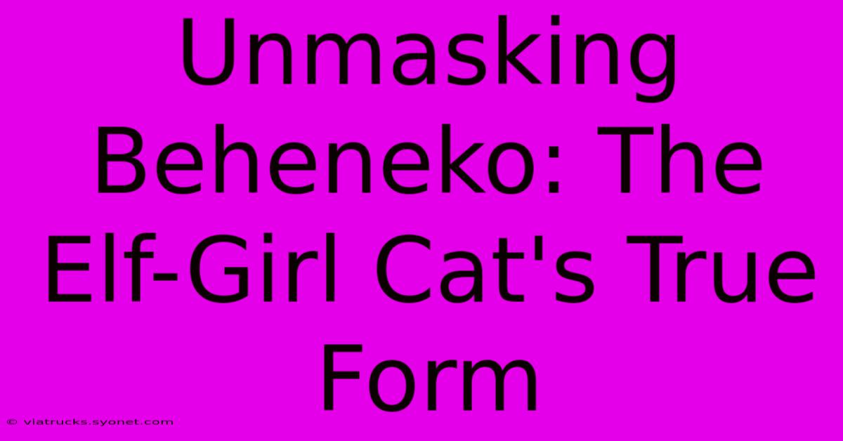 Unmasking Beheneko: The Elf-Girl Cat's True Form