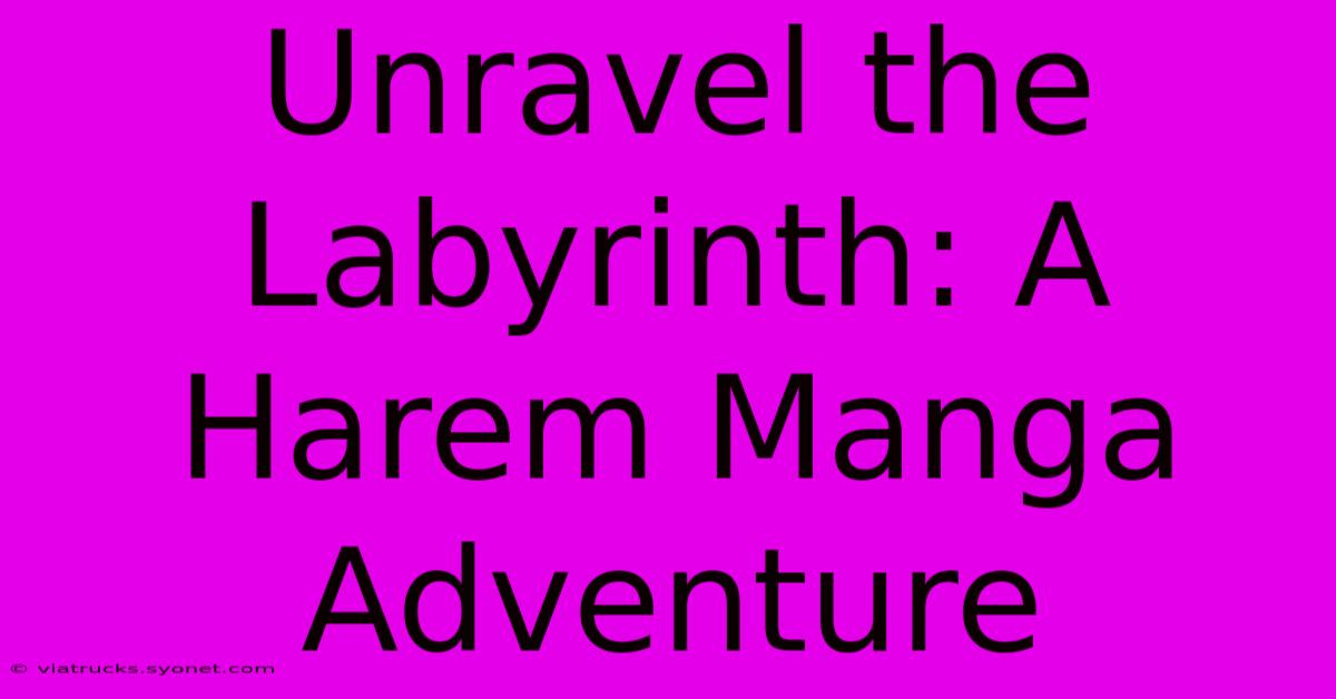 Unravel The Labyrinth: A Harem Manga Adventure