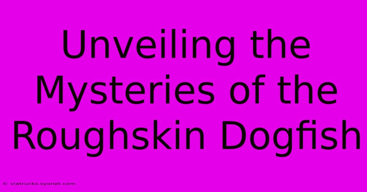 Unveiling The Mysteries Of The Roughskin Dogfish