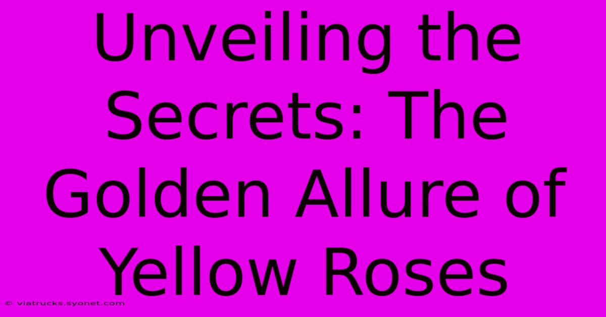 Unveiling The Secrets: The Golden Allure Of Yellow Roses