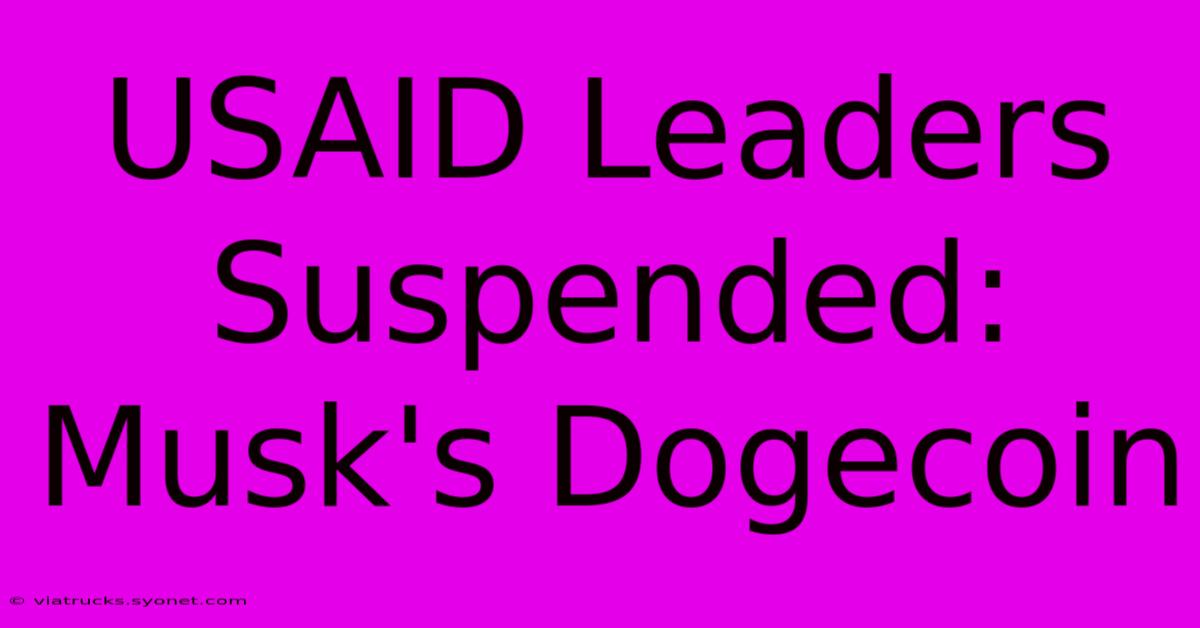 USAID Leaders Suspended: Musk's Dogecoin