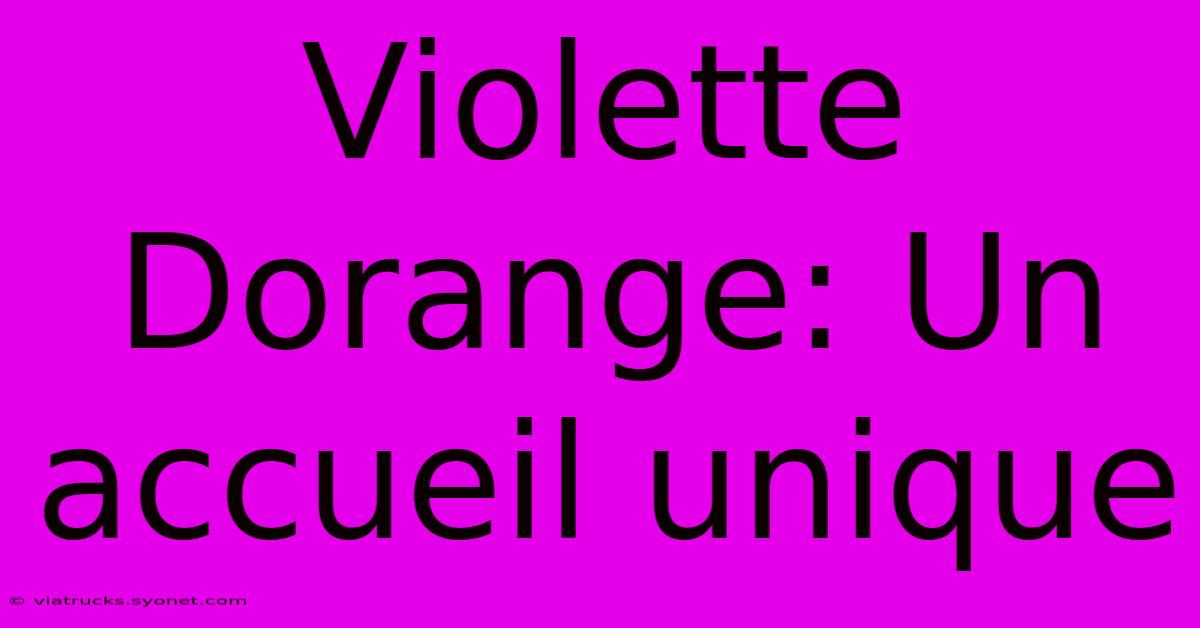 Violette Dorange: Un Accueil Unique