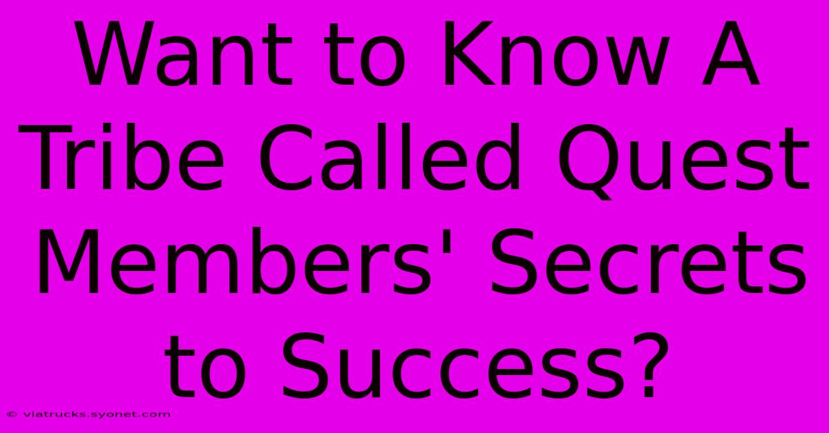 Want To Know A Tribe Called Quest Members' Secrets To Success?