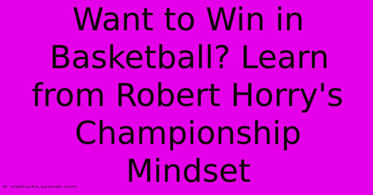 Want To Win In Basketball? Learn From Robert Horry's Championship Mindset