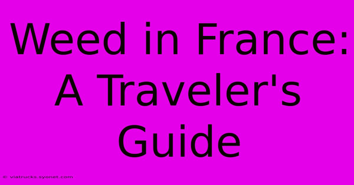 Weed In France: A Traveler's Guide