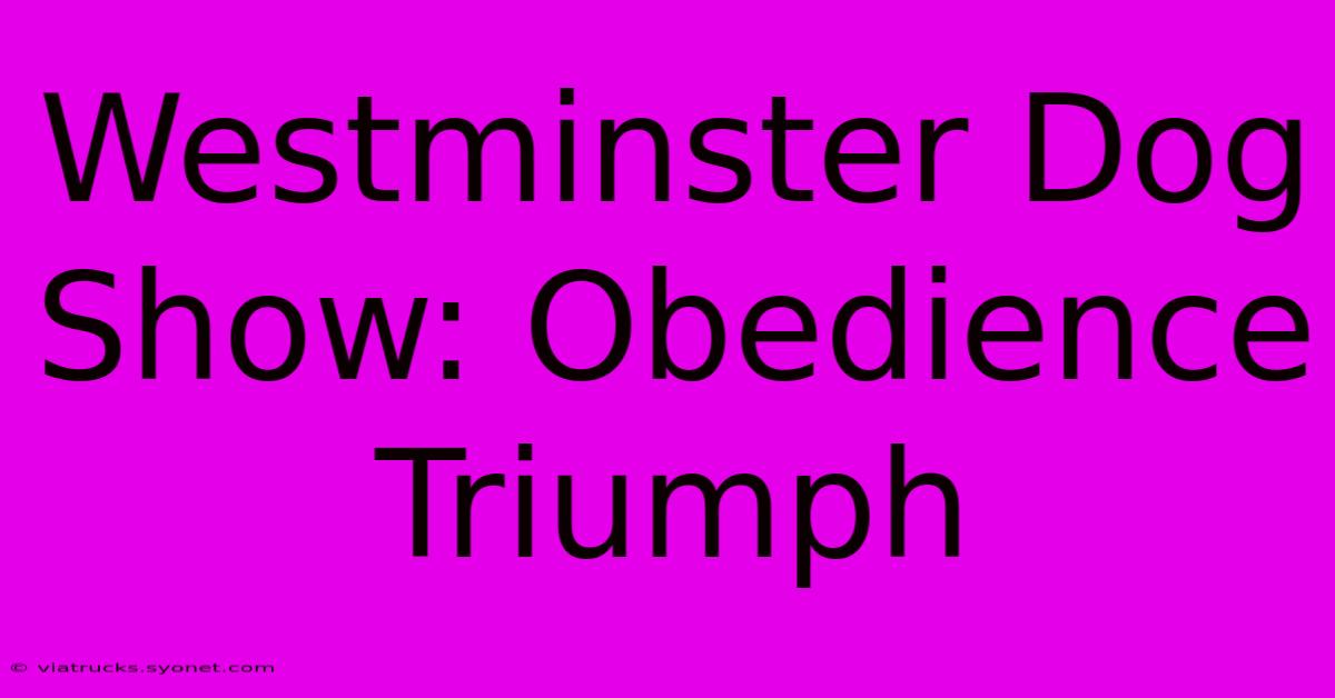 Westminster Dog Show: Obedience Triumph