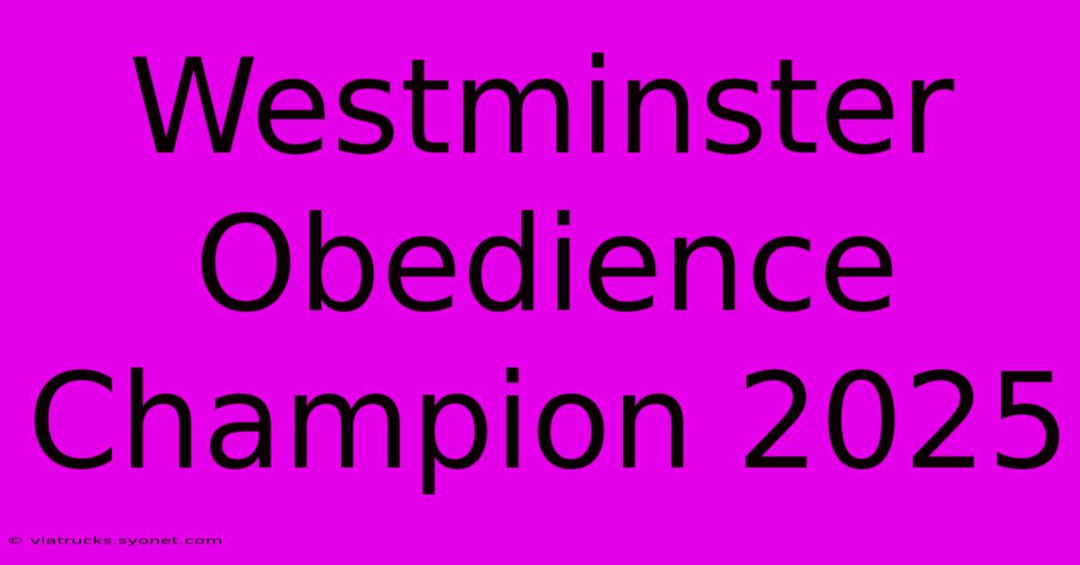 Westminster Obedience Champion 2025