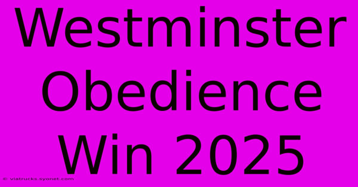 Westminster Obedience Win 2025