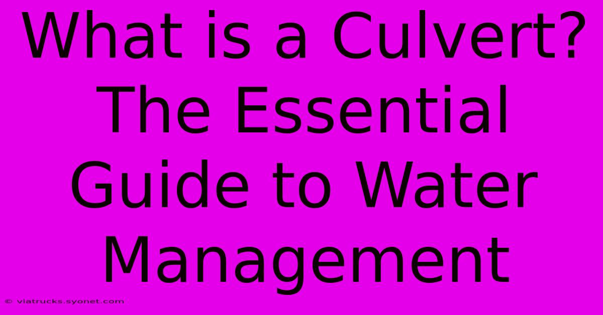 What Is A Culvert? The Essential Guide To Water Management