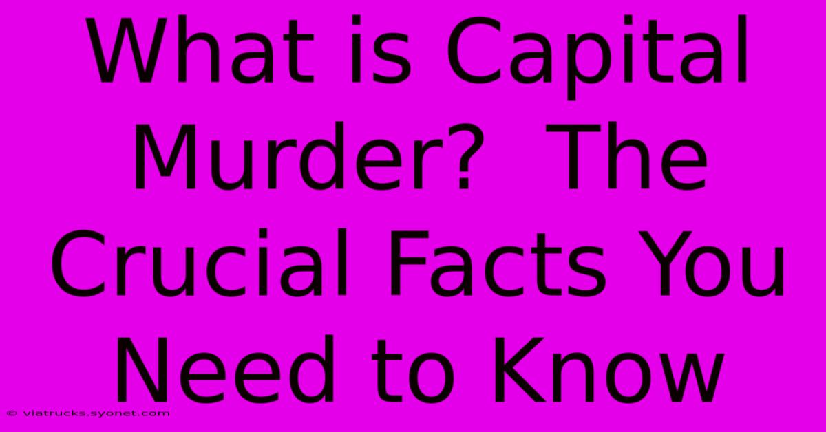 What Is Capital Murder?  The Crucial Facts You Need To Know