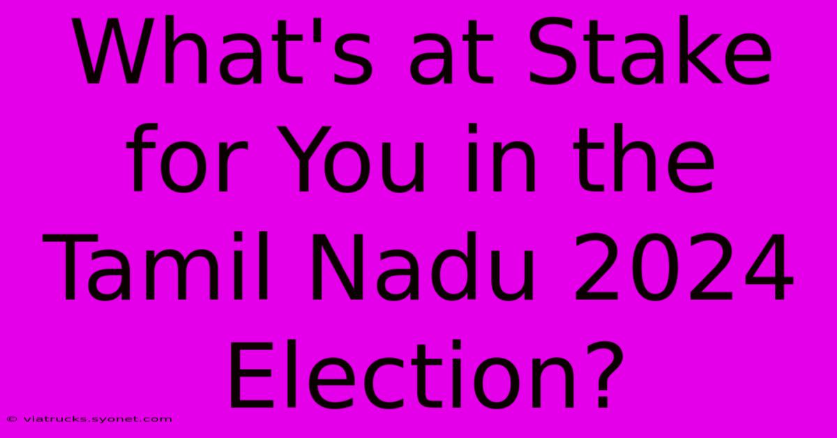 What's At Stake For You In The Tamil Nadu 2024 Election?