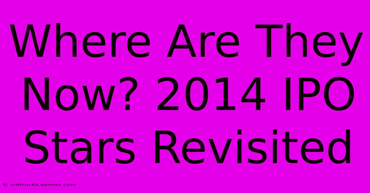 Where Are They Now? 2014 IPO Stars Revisited