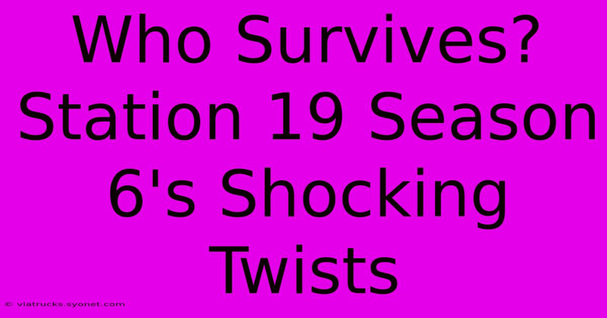 Who Survives? Station 19 Season 6's Shocking Twists