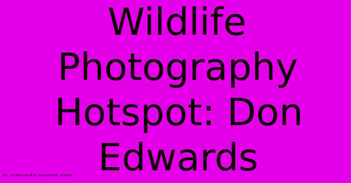 Wildlife Photography Hotspot: Don Edwards