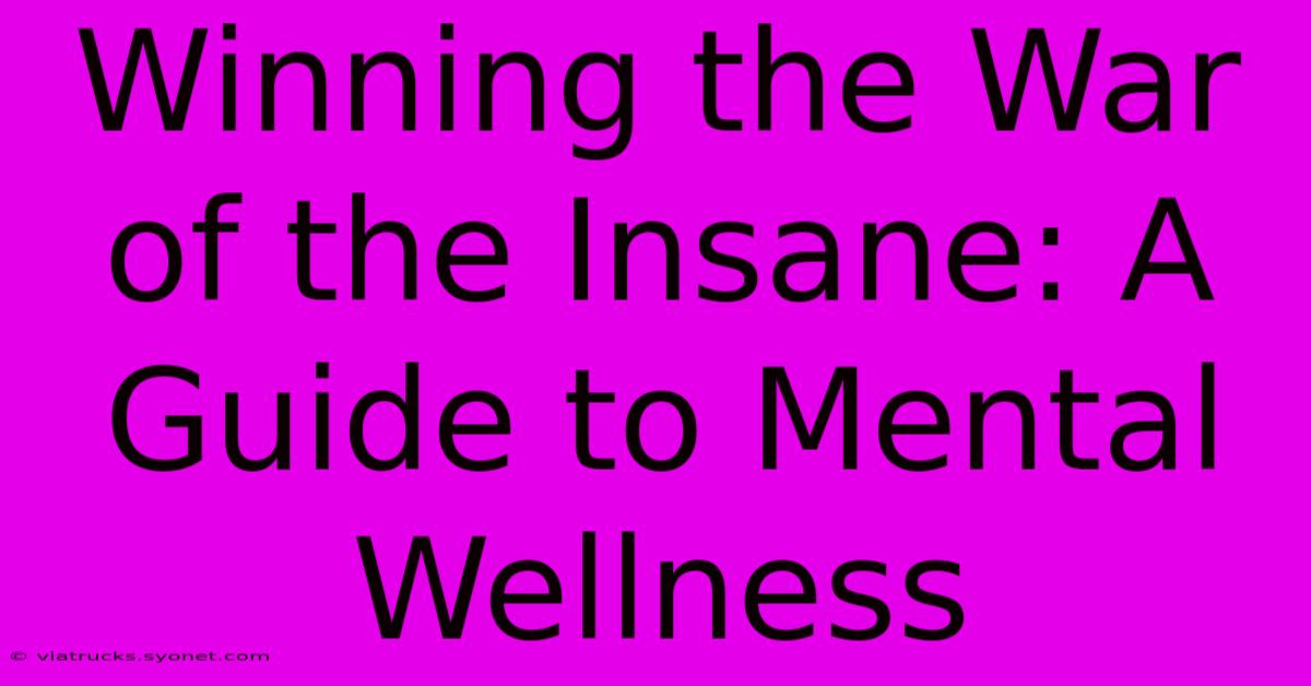 Winning The War Of The Insane: A Guide To Mental Wellness