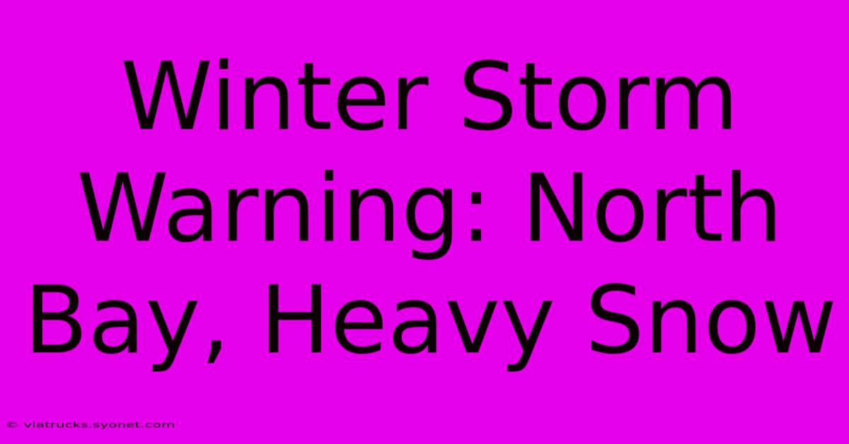 Winter Storm Warning: North Bay, Heavy Snow