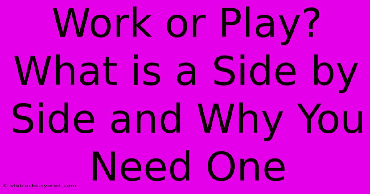 Work Or Play? What Is A Side By Side And Why You Need One