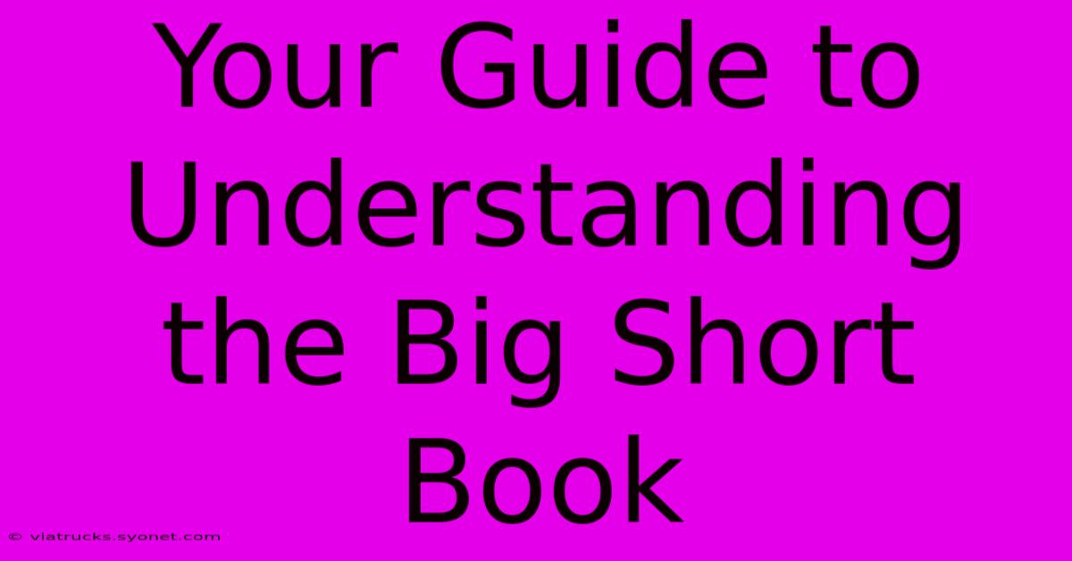 Your Guide To Understanding The Big Short Book